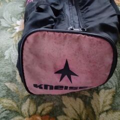 ファンスキーの画像