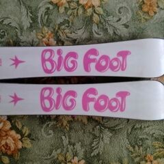 ファンスキーの画像