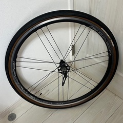 ZONDA（カンパニョーロ ゾンダ）にGRAVELKING（グラベルキング）の画像