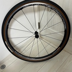 ZONDA（カンパニョーロ ゾンダ）にGRAVELKING（グラベルキング）の画像