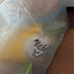 冷蔵庫 2021の画像