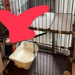 キャットケージの画像