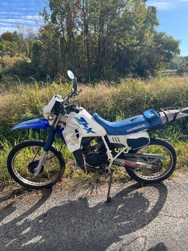 ホンダMTX50R原付不動部品取り車