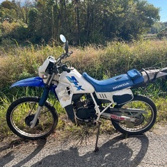 ホンダMTX50R原付不動部品取り車の画像