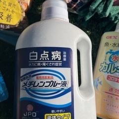 メダカ　飼育　産卵　セット　の画像