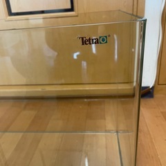 🌹Tetra🌹大きめガラス水槽🌹の画像