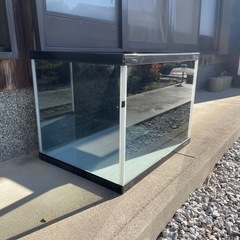 60cmワイド水槽の画像