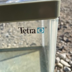 テトラ水槽の画像
