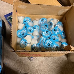 KBファーム　プロゼリー　570個の画像