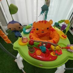 レインフォレスト ジャンパルー2の画像