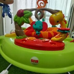 レインフォレスト ジャンパルー2の画像