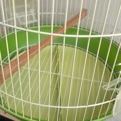 鳥 ケージの画像