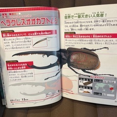 世界びっくり昆虫大集合 図鑑の画像
