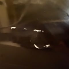 (お引き取り先決定)冷蔵庫の画像