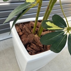 フェイクグリーン　160センチの画像