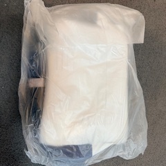 セントラルスイミング　バッグの画像