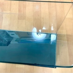 🌹Tetra🌹大きめガラス水槽🌹の画像