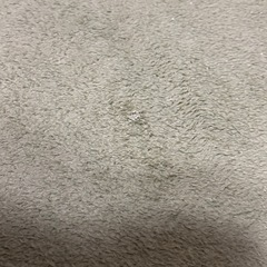 緑　絨毯　カーペット　マットの画像