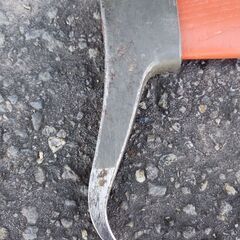 ハスクバーナのトビの画像