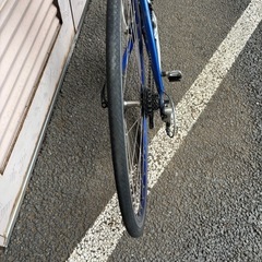 DE ROSA デ ローザ　VEGAの画像