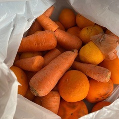 食材一式の画像