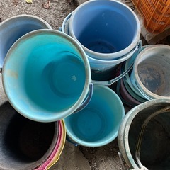 バケツ　沢山の画像