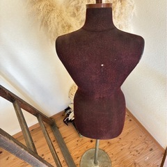 トルソーの画像