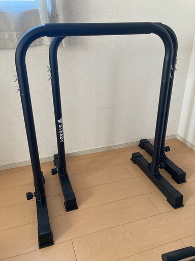 STEADY ディップスバーn