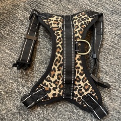 犬用ハーネスの画像