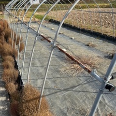 （取引中）ビニールハウスの骨組み一式（現地にて解体、持っていける方限定）の画像