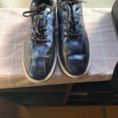 ボーリングセットの画像