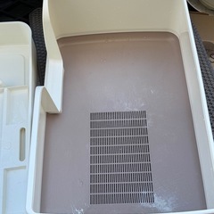 無料、 猫のトイレ の画像