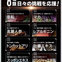 【新品】マルチビタミン サプリ 90粒 30日分 マカ 亜鉛 高麗人参 アルギニンの画像