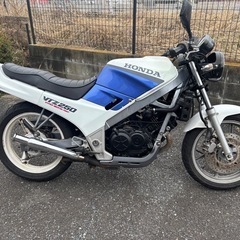 VTZ250 MC15 カスタム　　実働　タックロール　Gスタイルテールの画像