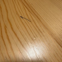 【ほんじつ本日取りに来てくださる方優先】の画像