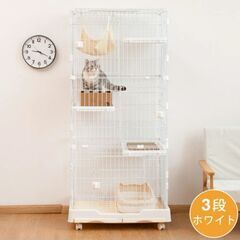 【直接受取可能な方】猫ケージの画像