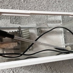 40cm水槽と水槽フィルターの画像