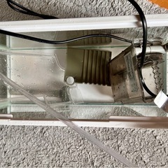 40cm水槽と水槽フィルターの画像