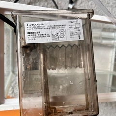 40cm水槽と水槽フィルターの画像