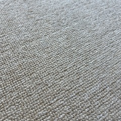 ベージュカーペット【11/24まで掲載】の画像