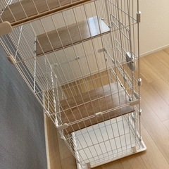 ペットゲージ　多段　アイリスオーヤマ
の画像