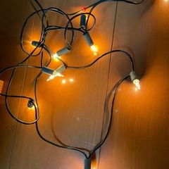 クリスマスツリー
の画像