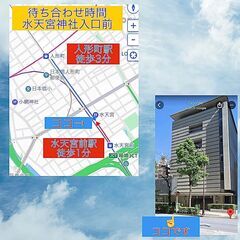 国産グッピー レッドグラス 　ペア　の画像