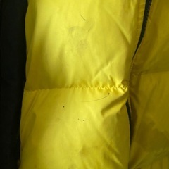 ファーストダウン　イエロー　24日までの画像