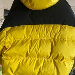 ファーストダウン　イエロー　24日までの画像