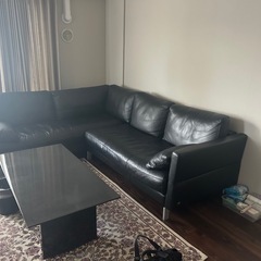 ROLF BENZソファーの画像