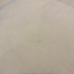 【お譲先決定しました】掛け布団　 クイーンサイズ　羽毛布団　の画像