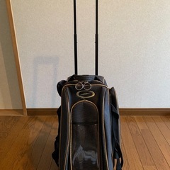 STORMボウリングキャリーバッグ2個用の画像