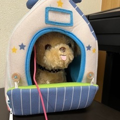 マザーガーデン とことこ おさんぽ プードルちゃん の画像