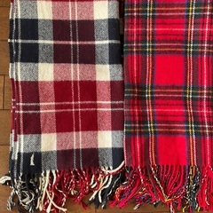 EASTBOY イーストボーイ　マフラー　ウィンドブレーカー　美品　制服　なんちゃって制服　中学生　高校生の画像